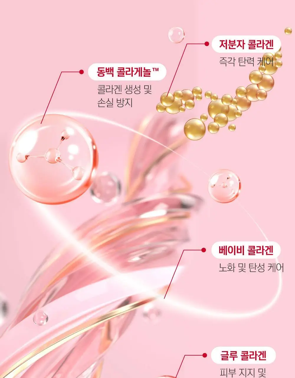 [10층탄력] 라운드랩 동백 딥 콜라겐 탄력 크림 50ml 기획 (+10ml) 상세페이지 26